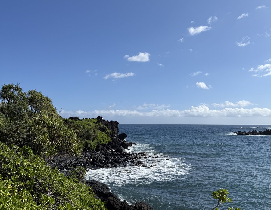 The volcanic coastline at Wai'anapanapa, Hana